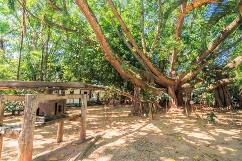 Casa Goiana em Caldas Novas Goiás no Jardim Japonês