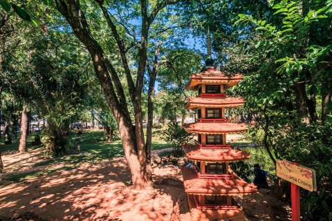 Jardim Japonês em Caldas Novas