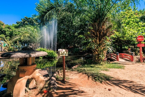 Jardim Japonês em Caldas Novas