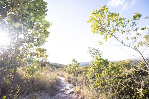 Parque Estadual da Serra de Caldas Novas