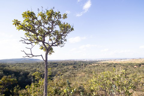 Parque Estadual da Serra de Caldas Novas