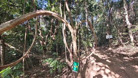 Parque Estadual da Serra de Caldas Novas