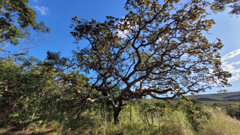 Parque Estadual da Serra de Caldas Novas